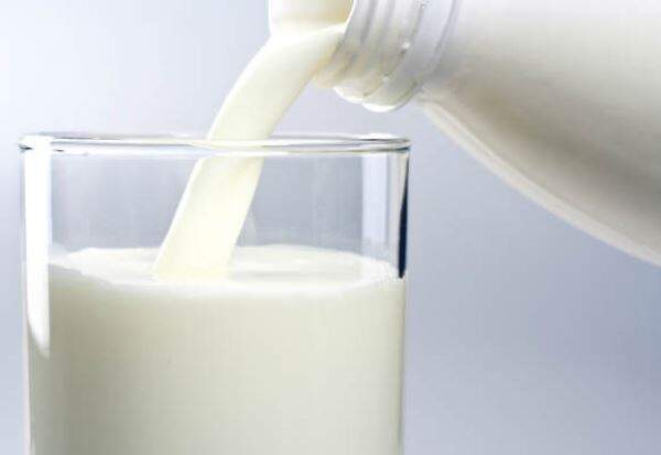 Entenda por que o leite deve estar presente na dieta em 2016