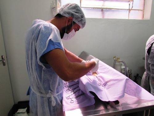 Proposta de emenda visa implantar hospitais veterinários em todo o Estado