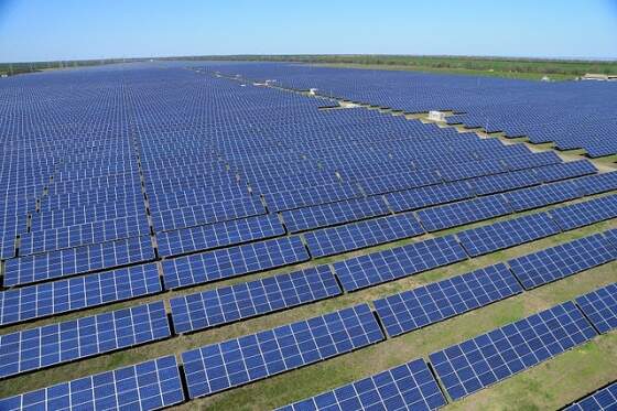 A Amazônia é nossa mas o verde vem da China – Sustentabilidade – Energia Solar