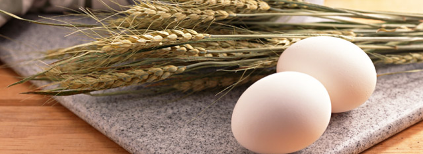 Ovo: O alimento da família brasileira