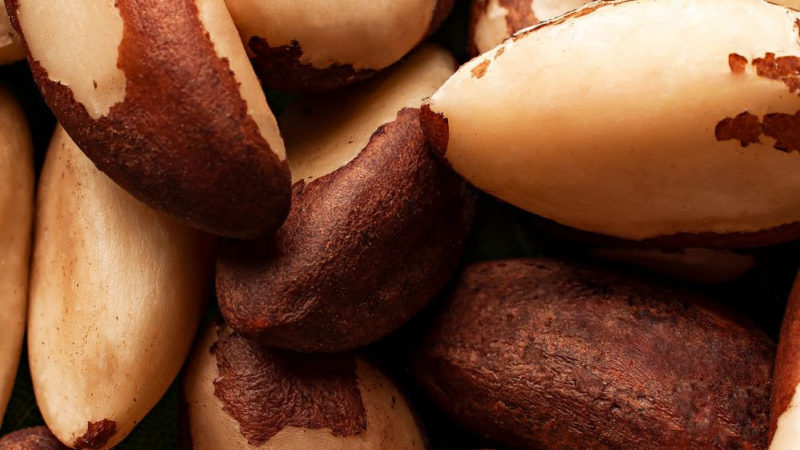 7 alimentos para potencializar o sistema imunológico