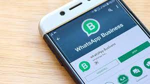 Uso do WhatsApp para negócios cresceu 251% em 2021