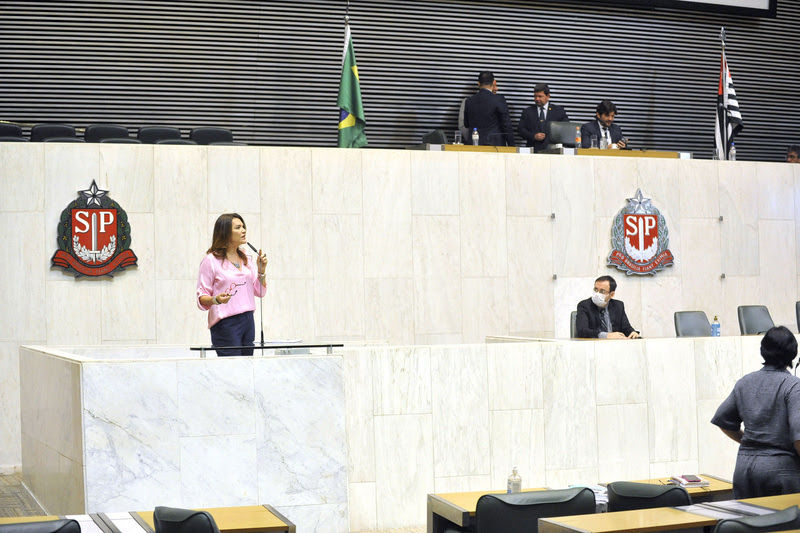 Alesp isenta imposto para remédios cardíaco e psiquiátrico e para doação a instituições beneficentes