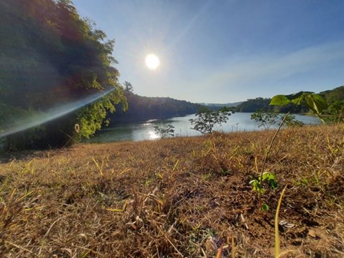 Projeto Raízes da União inicia plantio de mudas de árvores no Sistema Cantareira em SP